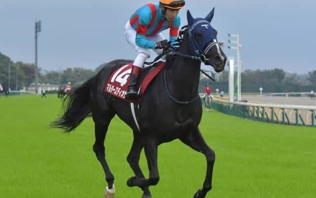 【ターコイズS見どころ】マルターズディオサの重賞3勝目なるか