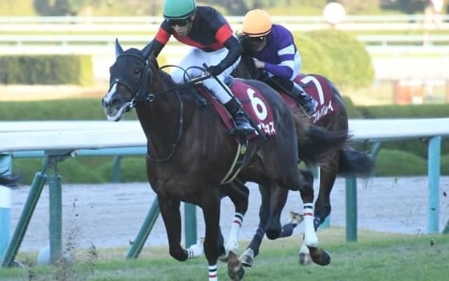 【朝日杯FS見どころ】セリフォスが無傷4連勝での戴冠に挑む