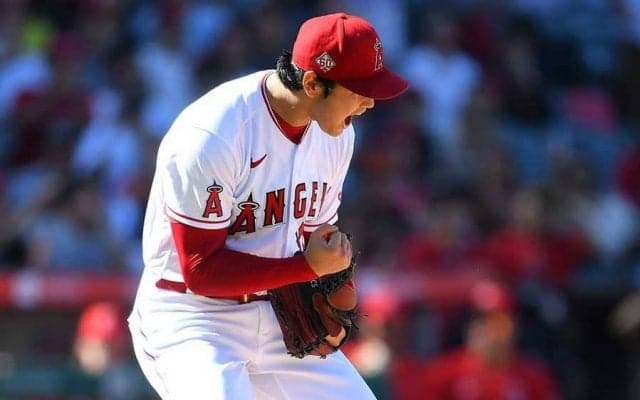 【MLB】岩村明憲氏の心に残った投手・大谷翔平の姿　「人間で良かったと思ったくらい…」