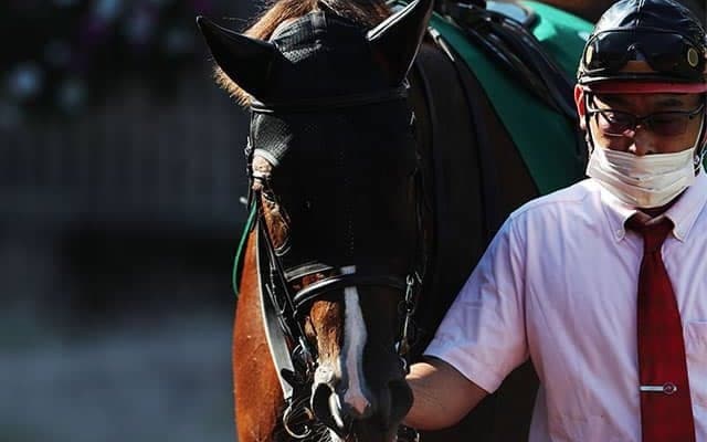 “THEダイワメジャー”なセリフォス　朝日杯FSで堂々世代のトップへ