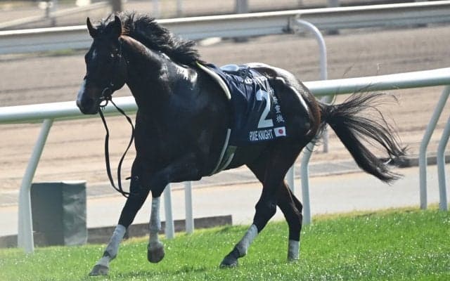 【香港スプリント】音無師「大変残念」レース後コメント