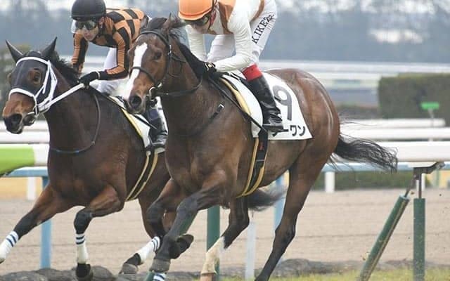 【先週のJRA抹消馬】2019年フィリーズレビュー覇者ノーワン、飛鳥Sを制したレッドベルディエスなど