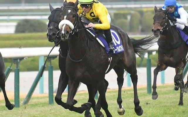 朝日杯FSに新種牡馬産駒ズラリ　これから数年で日本の血統地図は激変