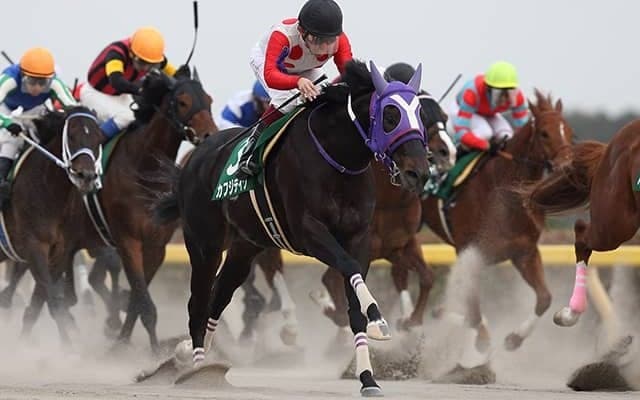 【地方競馬】2017年根岸S覇者カフジテイクが引退 松浦裕之調教師「もっと走らせたかったです」