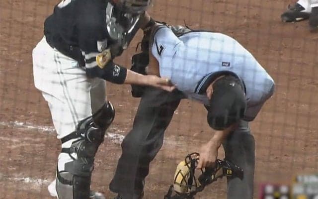 「反射神経えぐいな」「捕手並みにいたい職業」打球直撃も判定下す審判の“美技”