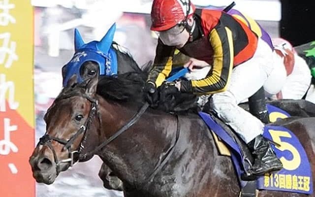 日本ダービー3着馬・コズミックフォース、強豪たち抑え南関東で重賞初制覇！