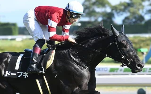 【朝日杯FS】藤田晋氏の所有馬がGI初出走　無傷2連勝中の高額ディープ産駒に注目