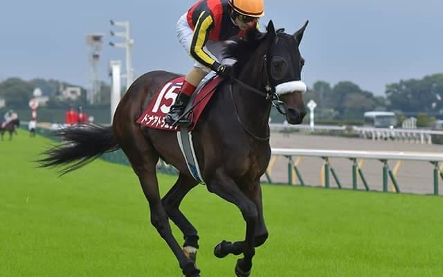 【ターコイズS予想オッズ】ドナアトラエンテが予想1番人気