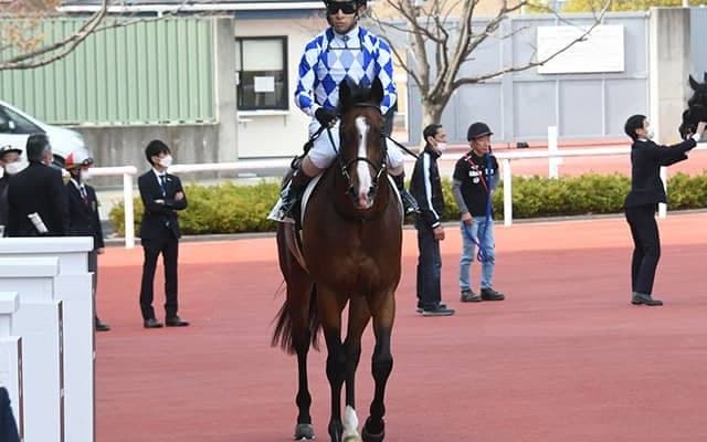 【朝日杯FS展望】2歳マイル王決定戦、あの穴馬に期待したい