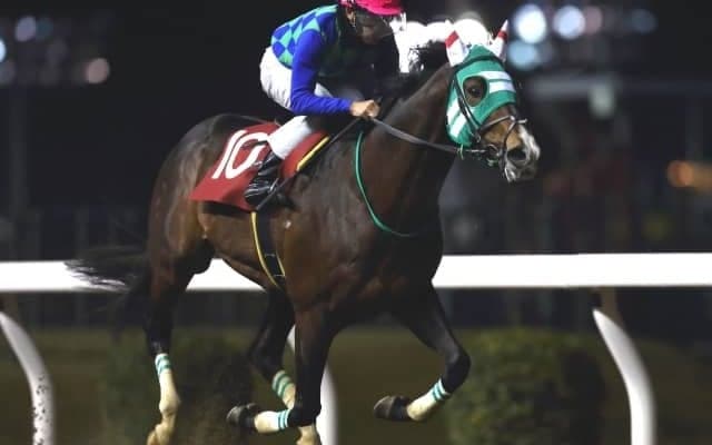 【川崎・スパーキングオールスターチャレンジ】圧勝のノーヴァレンダ森泰斗騎手「さすがという感じ。楽しみです」