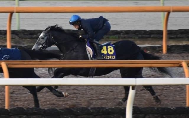 クロノジェネシス、有馬記念1週前追い切り速報/栗東トレセンニュース