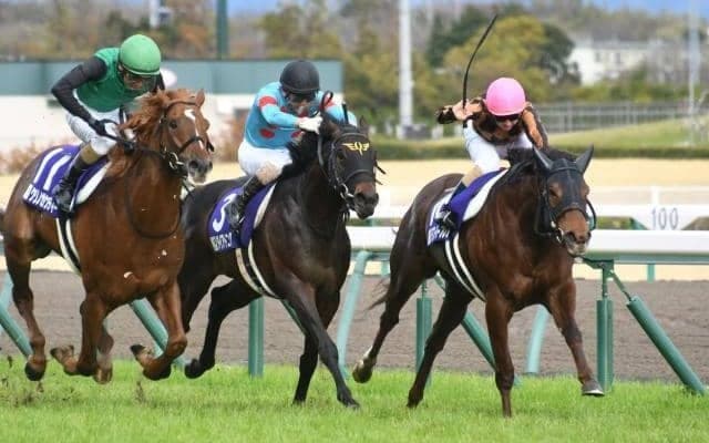 【JRA】高松宮記念覇者モズスーパーフレアが引退、繁殖馬に