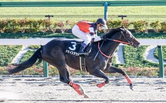 【全日本2歳優駿 16時時点オッズ】ドライスタウトが単勝2.3倍の1番人気、アイスジャイアントが6.0倍で続く