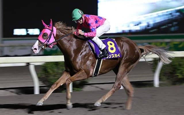 地元で“8馬身差V”をつづけるマリンスカイが全日本2歳優駿に参戦「高知の馬でどこまで差を詰められるのか見たい」