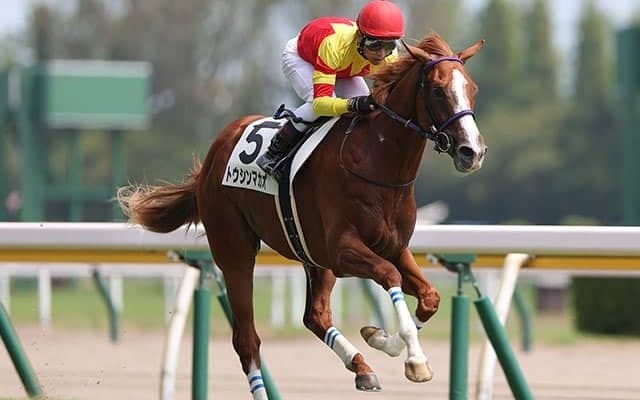 【AI予想】オッズ次第では面白い存在に？ 朝日杯FSでAIが選んだ1頭の信頼度をチェック