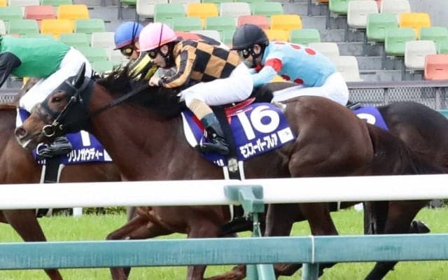 モズスーパーフレアが競走馬登録抹消