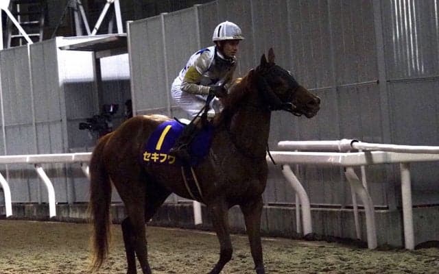 【全日本2歳優駿】M.デムーロ「左回り、内枠厳しい」セキフウは離れた4着