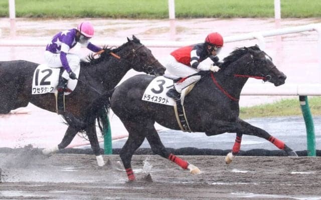 【全日本2歳優駿】ドライスタウトは6枠10番