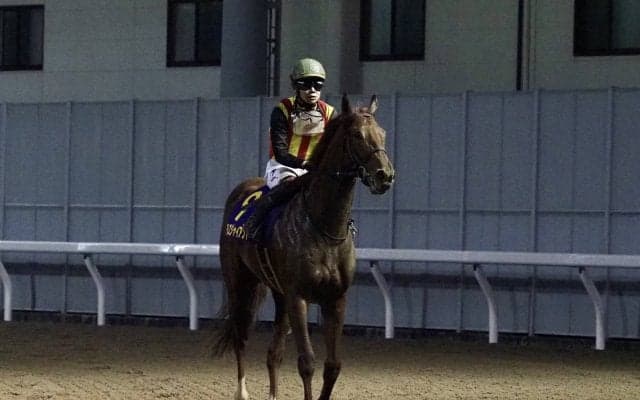 【全日本2歳優駿】三浦「終始脚が溜まらない展開…」レース後ジョッキーコメント