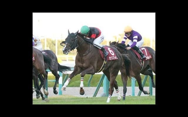 朝日杯FSは「２歳戦向き」の血統から絞る。今後の重賞戦線で輝きそうな２頭とは？