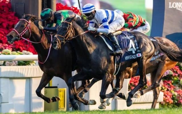 【JRA】ラヴズオンリーユー、ピクシーナイトなど香港国際競走に出走の日本馬12頭が帰国
