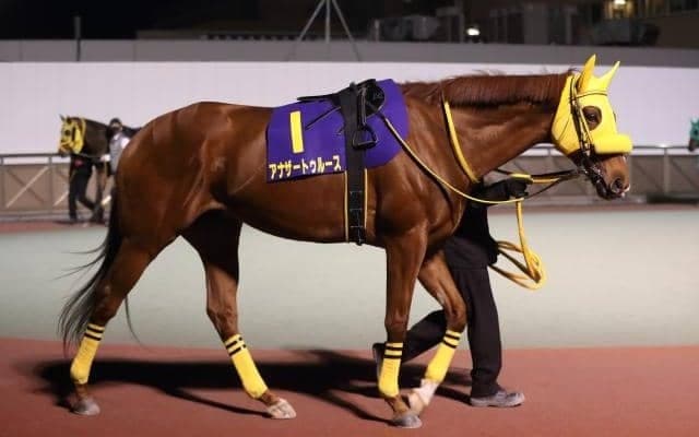 【東京大賞典】アナザートゥルースの鞍上は松山騎手　クロスケ、ノーブルサターンが繰上で出走可能に