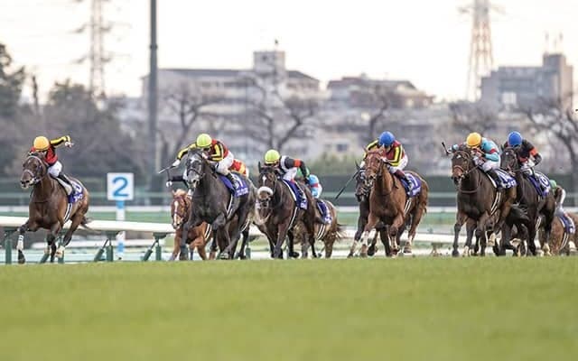 【有馬記念】ボックスシートは倍率“84.9倍” 指定席抽選発売の申込状況発表