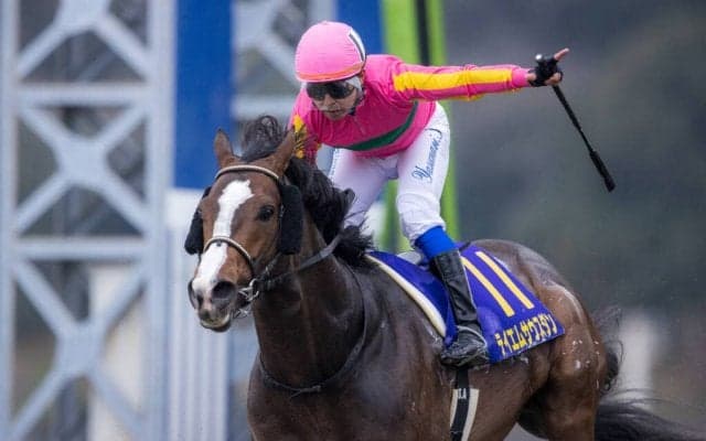 【兵庫ゴールドトロフィー】JRA出走予定馬