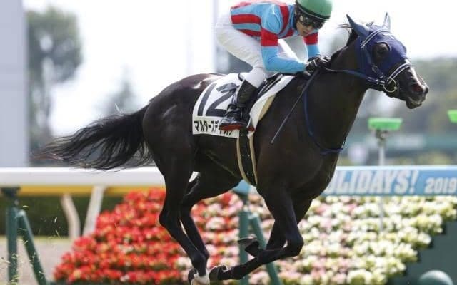 【ターコイズS枠順確定】マルターズディオサは7枠14番、ドナアトラエンテは5枠10番