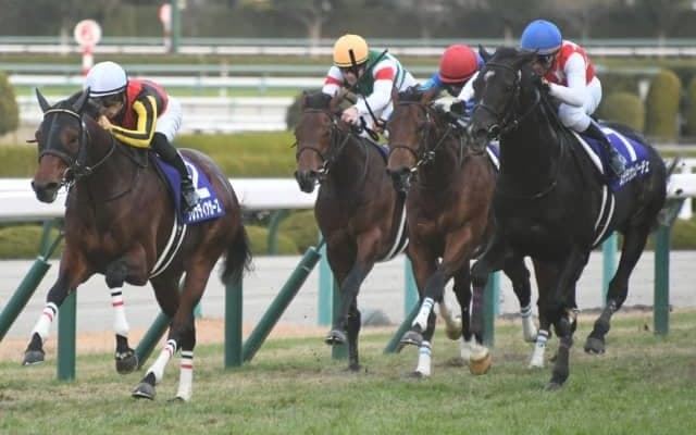 【朝日杯FS】今年も“将来的に短距離路線で活躍する馬”に注目を