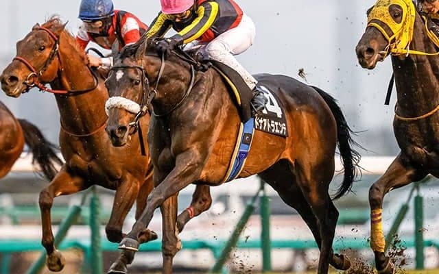 【ターコイズS予想】過去6年で「二桁人気馬」が5頭激走！ データからは今年も波乱の可能性