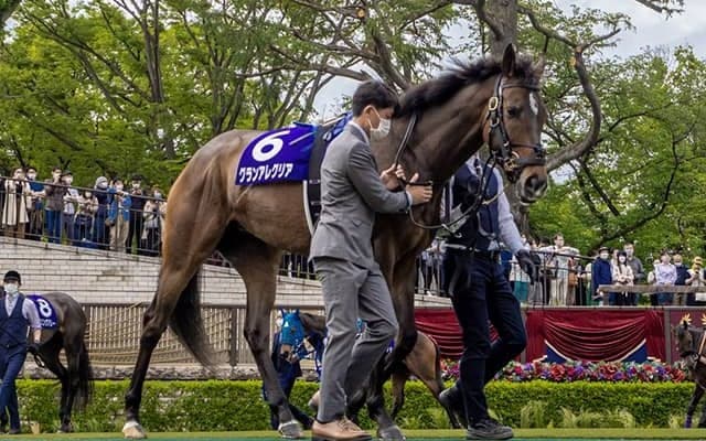 【本日の注目ポイント】中山でターコイズS、グランアレグリア引退式など