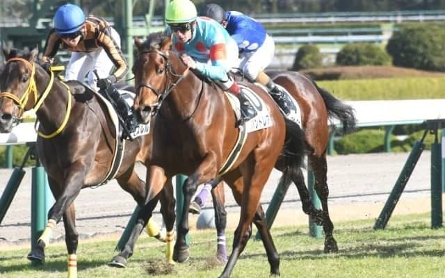 【阪神5R新馬戦結果】ショウナンパンドラの仔パンドレアが鋭く差し切り新馬勝ち