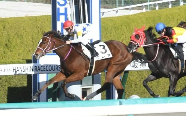 【阪神6R新馬戦結果】横山典弘騎手騎乗クレアが逃げ切って初陣飾る