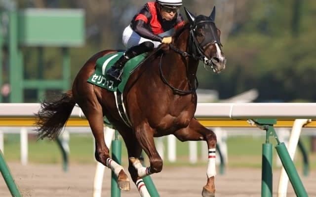 【本日の注目ポイント】2歳マイル王決定戦・朝日杯FS