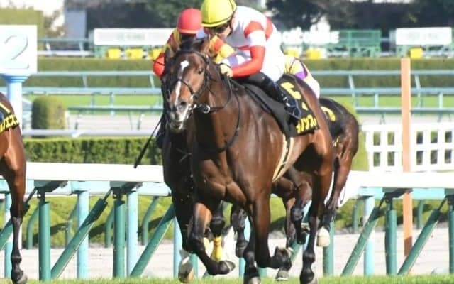 【朝日杯FS予想】伝統のGIレース、伸びしろが期待される若駒は!?