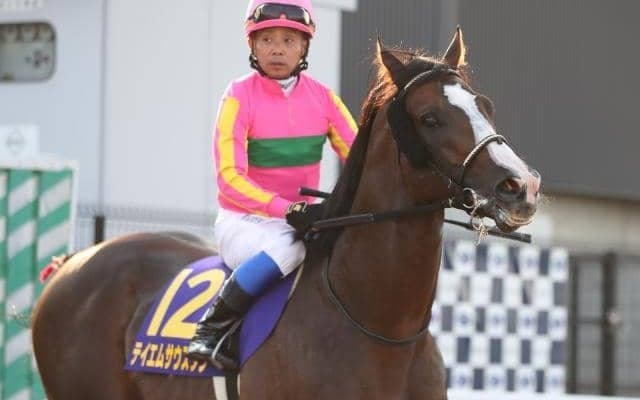  【園田・兵庫ゴールドT枠順確定】テイエムサウスダンは5枠5番、ラプタスは8枠11番