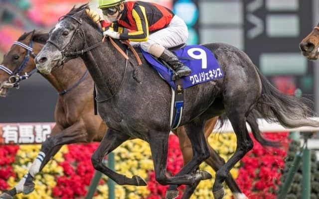 グランプリ女王vs3歳世代 暮れの大一番・有馬記念に注目/今週の競馬界の見どころ