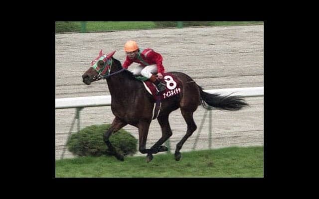 ウマ娘をきっかけに人気再燃。有馬記念で３年連続３着と競馬ファンに愛された名脇役・ナイスネイチャのストーリー