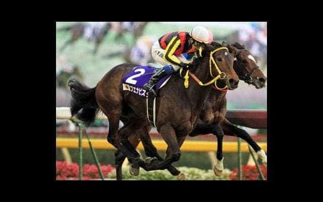 ブエナビスタの愛娘ブエナエルドラードは「馬格があって、雰囲気がある」