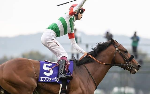 【有馬記念 注目馬(2)】若き人馬がさらなる偉業を積み重ねるか