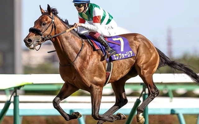 【有馬記念予想】暮れの大一番で母父の血が騒ぐ!? AI本命「◎」は上位人気確実な「あの馬」