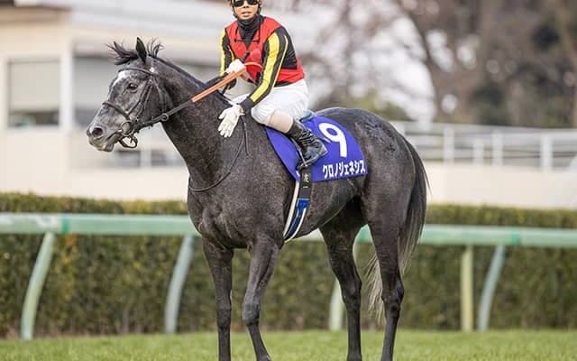 【有馬記念想定騎手】クロノジェネシスはC.ルメール騎手、エフフォーリアは横山武史騎手
