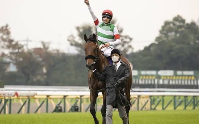 【有馬記念予想】エフフォーリアに黄信号!? 秋天からのステップは吉か凶か？/データ分析(ローテーション編)
