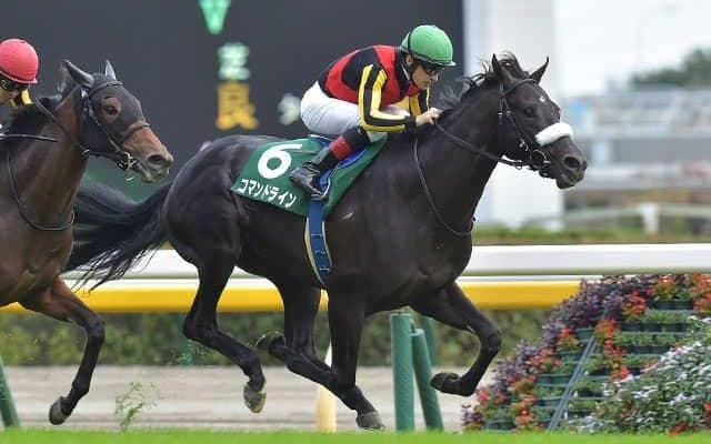 【ホープフルS想定騎手】コマンドラインはC.ルメール騎手、キラーアビリティは横山武史騎手