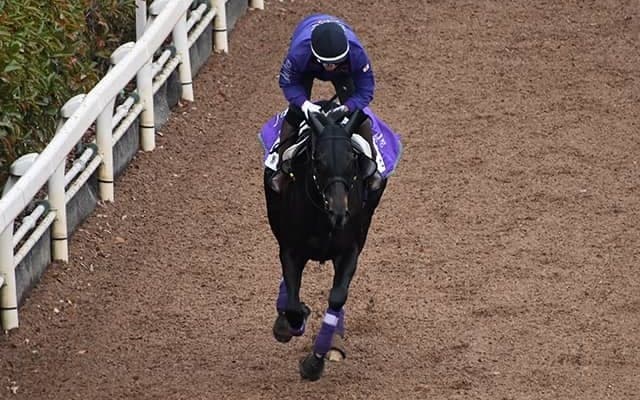 デゼルなど、先週の入厩情報/栗東トレセンニュース