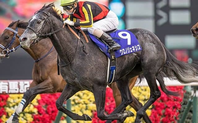 【有馬記念予想】今年のサイン馬券は『有終の美』『金』『大谷翔平』などが人気…netkeibaユーザーに聞いたアンケート中間発表！