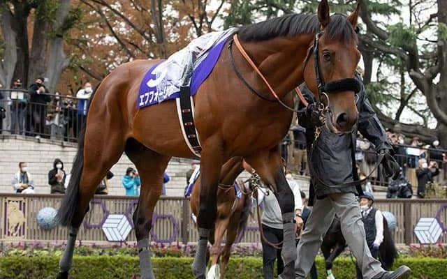 エフフォーリアが注意すべきは瞬発力勝負!? スタミナを要する舞台を得意とするエピファネイア産駒