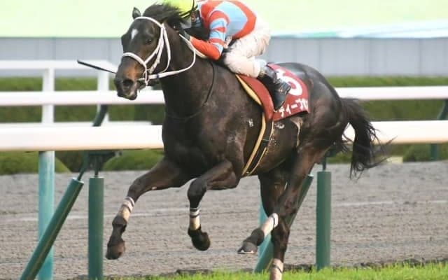 【有馬記念 注目馬(6)】フランス遠征帰りのキズナ産駒が、主戦騎手を背にGI初制覇を狙う