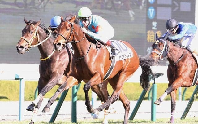 【新馬/阪神5R】C.デムーロ騎乗 良血パンドレアが人気に応える